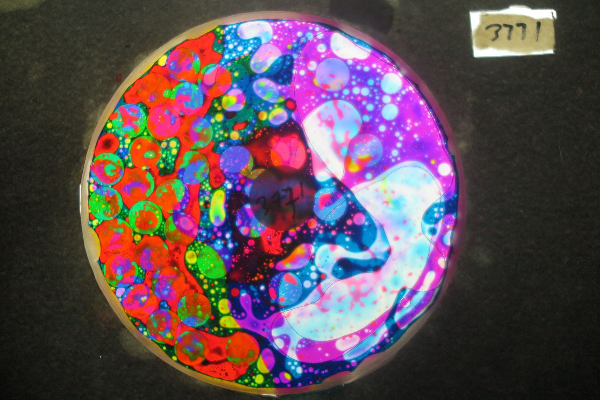 BV3771 bubble vision oil wheel